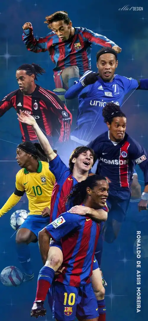 欧盟各成员 欧盟各成员