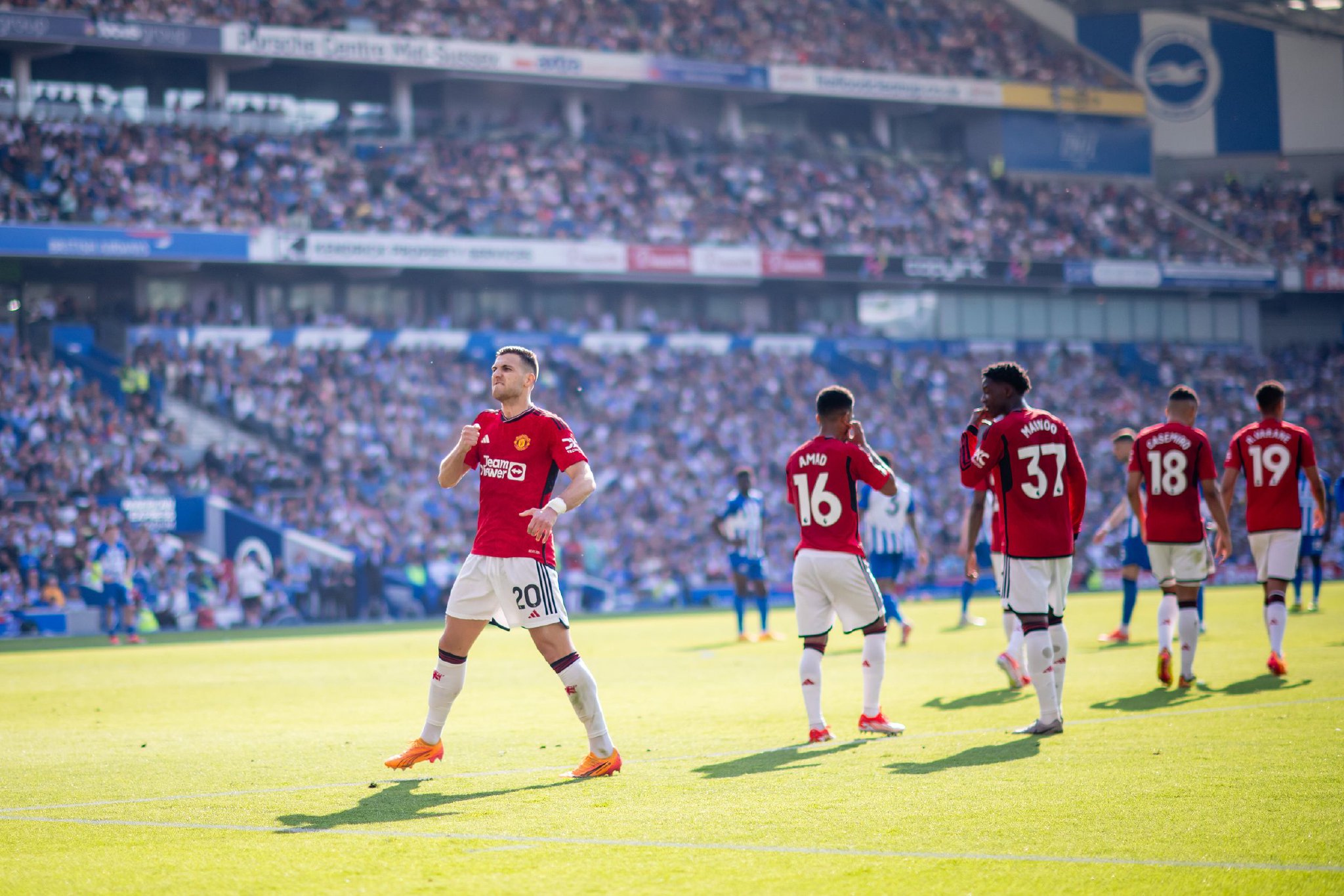 了体能优化 了体能优化